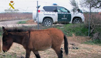 23-01-2018---guardia-civil-478