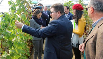 24-01-2018---visita-consejero-y-concejala-planasa-478