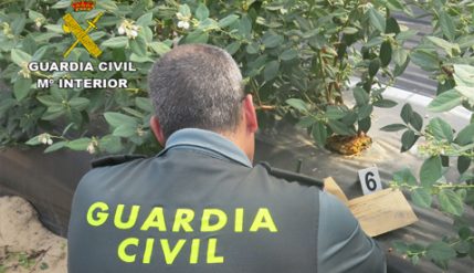 01-02-2018---guardia-civil-478