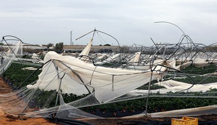 08-03-2017---daños-por-el-temporal-478