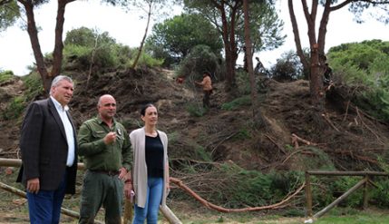 04-05-2018---limpieza-del-pinar-478