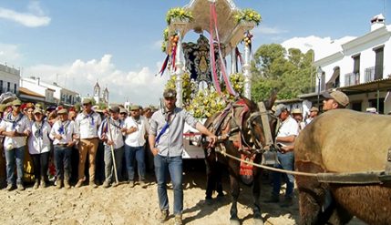 12-06-2018---camino-hdad-del-rocio-de-cartaya-478