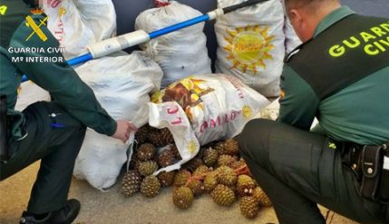 16-11-2018 - guardia civil 478