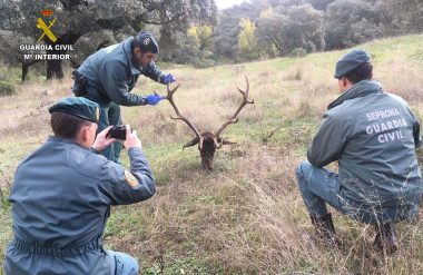 21-11-2018 - guardia civil 1200x630