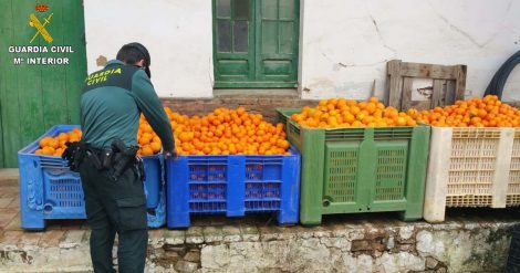 21-11-2018 - guardia civil naranjas