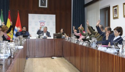 28-11-2018 - pleno ordinario 478