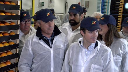 20-11-2018 - pablo casado visita cartaya