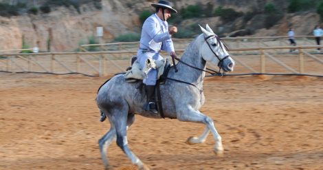 20.02.2019 - inseminacion de caballaos