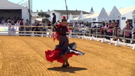 IMAGEN SUGERIDA DOMINGO FERIA