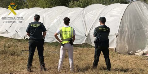 02-04-2019 - guardia civil 1200x600
