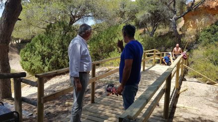 PASARELA NUEVO PORTIL 00