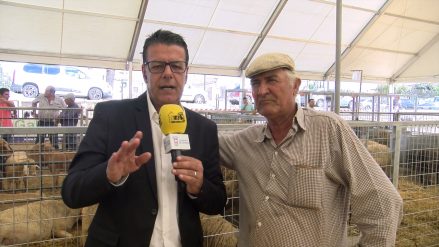 ZONA GANADERA