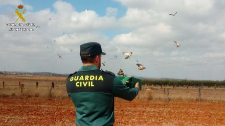 avesguardiacivil