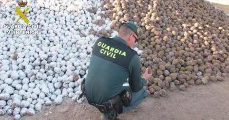 cropped-piñasguardiacivil.jpg