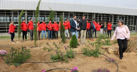 jardinvioleta1200