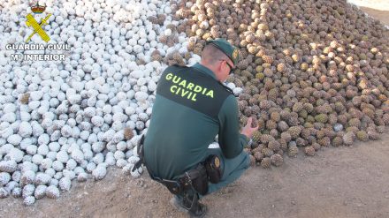 piñasguardiacivil