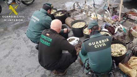 marisqueoguardiacivil