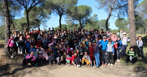 campo1200