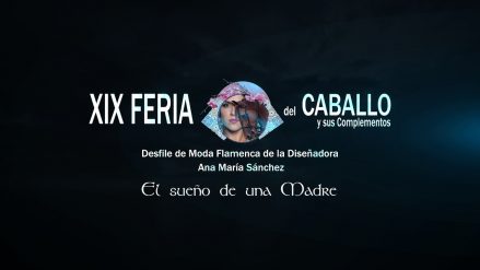 desfile de ana maria sanchez