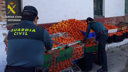 gibraleonguardiacivil