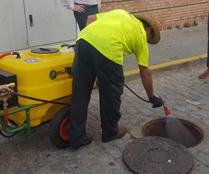 29-07-2020-campaña-cucarachas