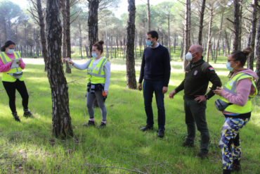 control_pinos_2
