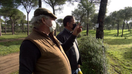 CAPTURA 1 TARIQUEJO