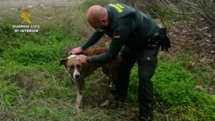rescate_perro_huelva_foto1