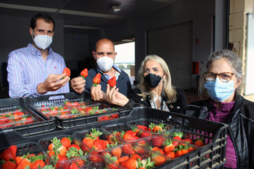 cooperativa_frutos_rojos_3