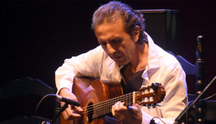 guitarrista