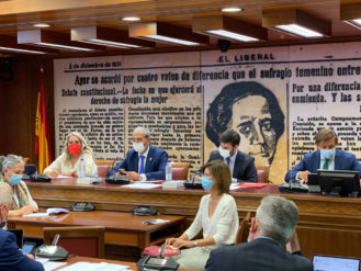 acladesa_vicepresidenta_comision_entidades_locales_senado_00_w