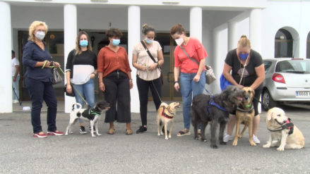 13-09-2021 - noticia perros