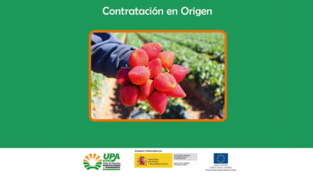 contratación en origen