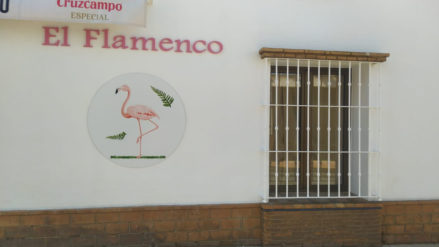 flamenco