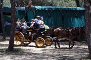 290510_sabado_de_romeria04_web
