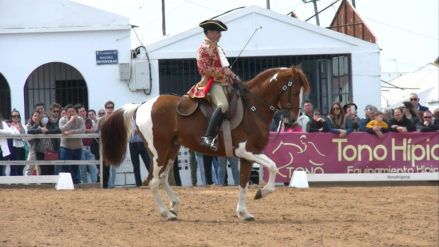 EXHIBICION FERIA DEL CABALLO