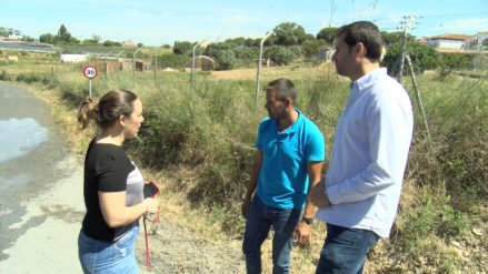 noticia romeria