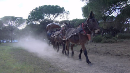 18-03-2023 - CONVIVENCIA ECUESTRE