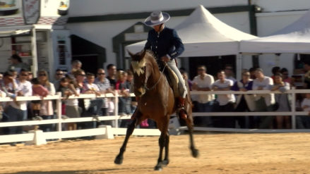 captura tierra