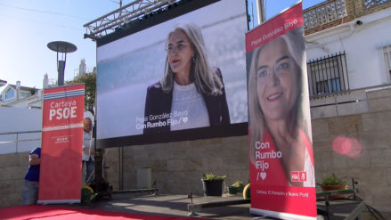 pepa psoe