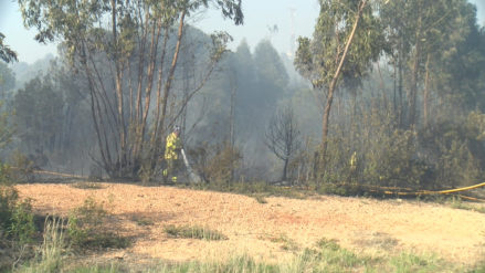captura incendio