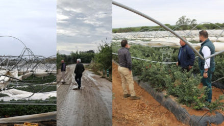 23-10-2023 - comingo cooperativa