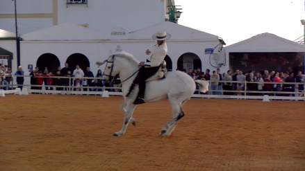 17-02-2024 - doma vaquera