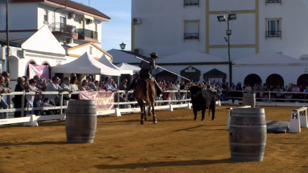 17-02-2024 - manejabilidad