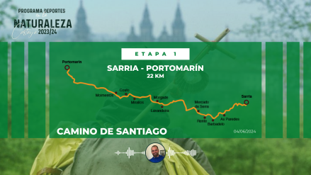CAMINO SANTIAGO - 1