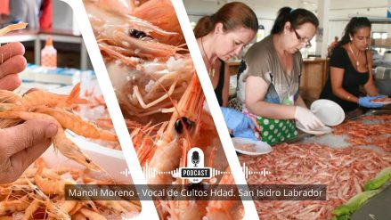 ENTREVISTAS - GAMBA