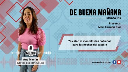 ENTREVISTA - ana