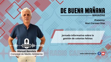 ENTREVISTA - manuel bendala