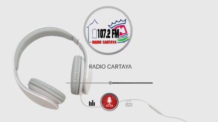 RADIO ONLINE - PAGINA WEB (1)