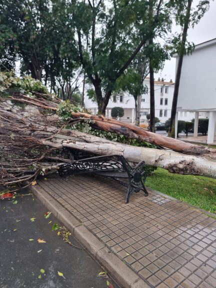 582028493_1230800599073640_1862152227926495822_n